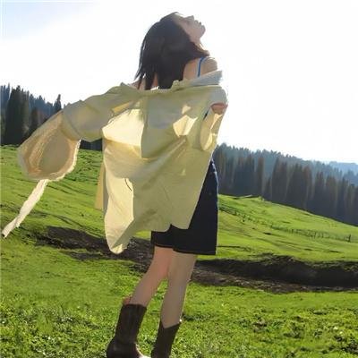 蜜蜂酿蜜